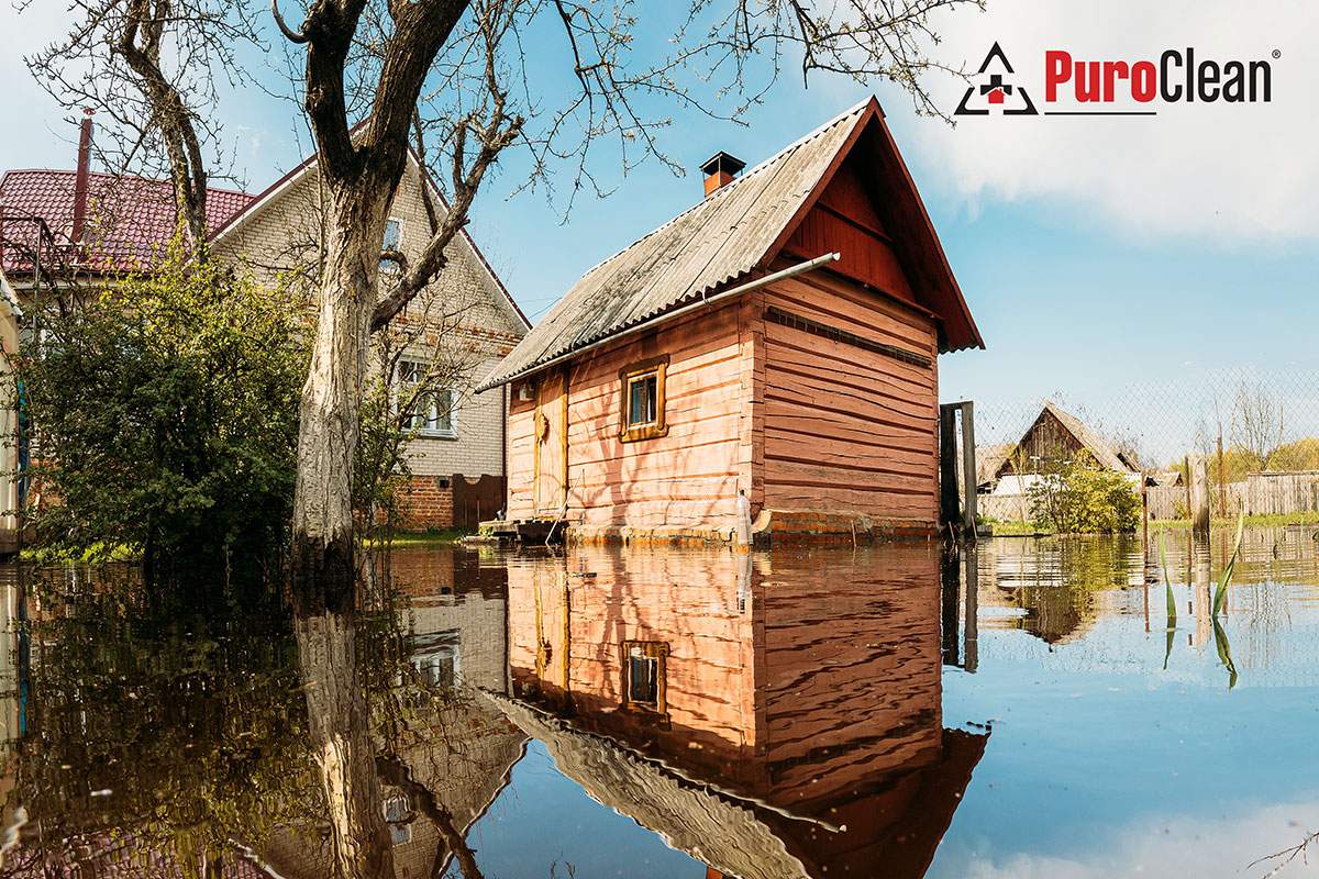 shed surrounded by water