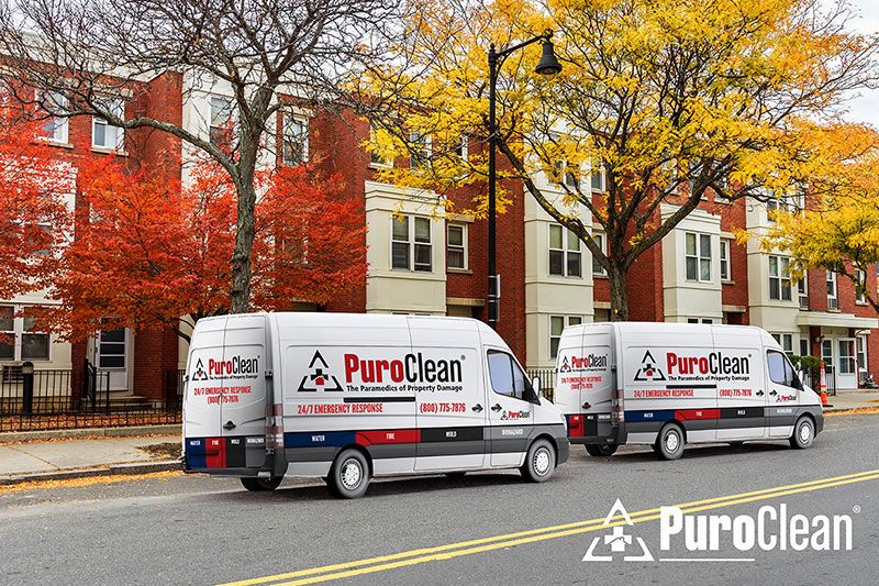 Two PuroClean vans parked