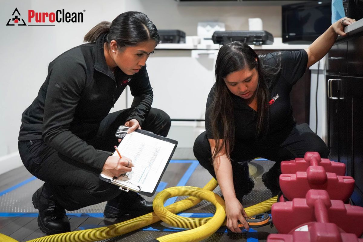 two women using a system to pull moisture out of the floor